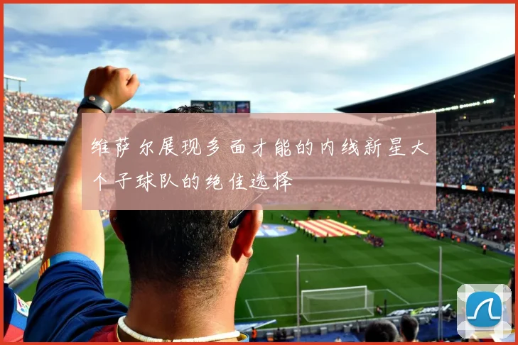 维萨尔展现多面才能的内线新星大个子球队的绝佳选择